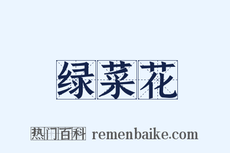 绿菜花是什么意思的图片